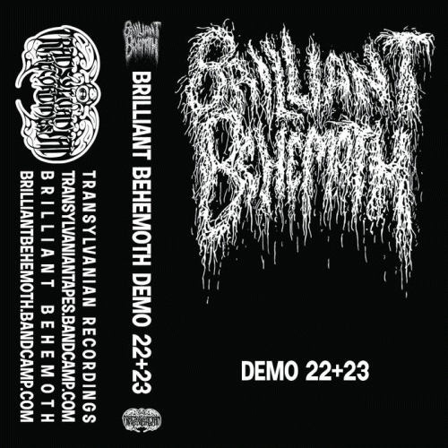 Brilliant Behemoth : Demo 22+23